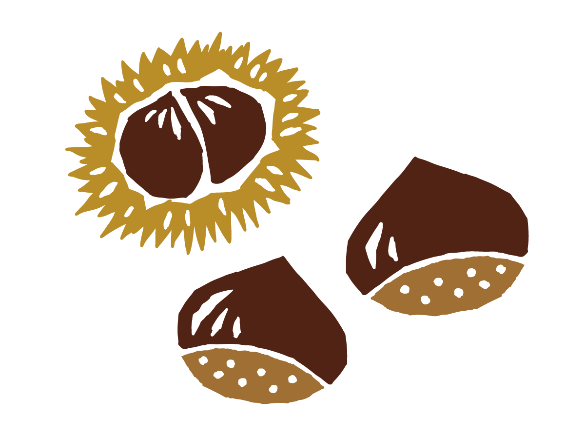 栗のイラスト